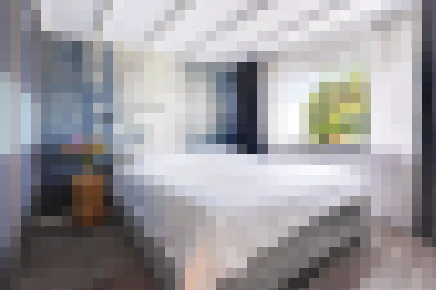 Dokter d'Arnaudstraat 8 Andijk thumbnail 33