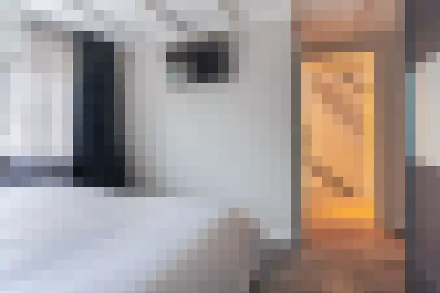 Dokter d'Arnaudstraat 8 Andijk thumbnail 35