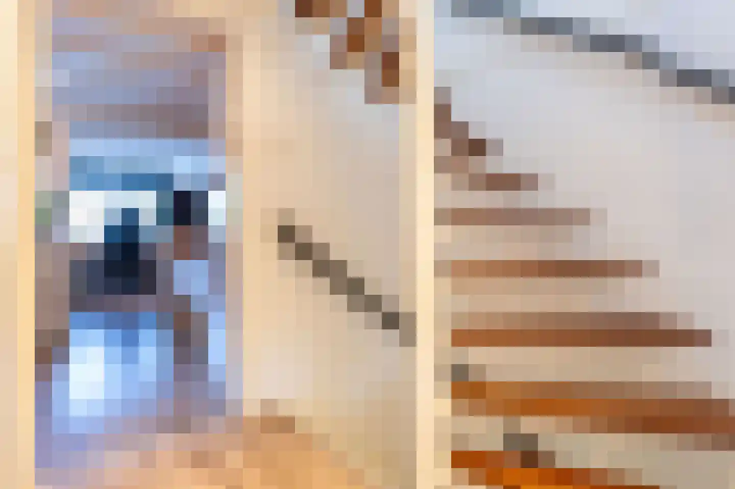 Dokter d'Arnaudstraat 8 Andijk thumbnail 36