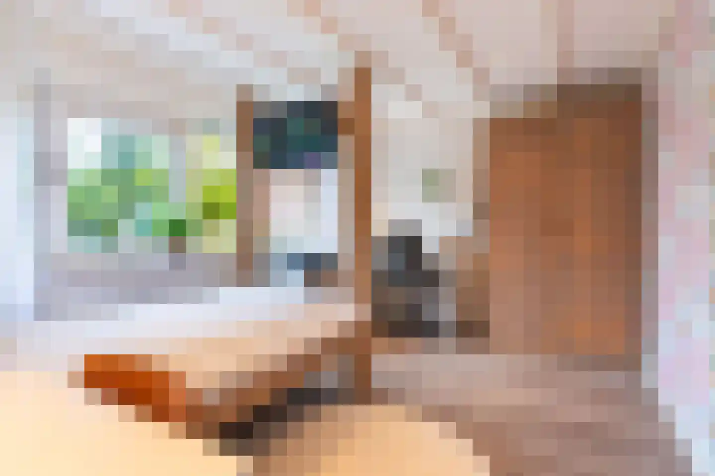 Dokter d'Arnaudstraat 8 Andijk thumbnail 39