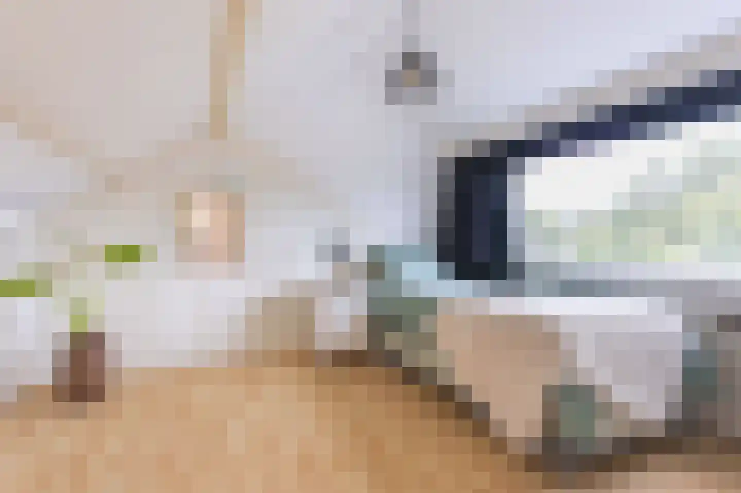 Dokter d'Arnaudstraat 8 Andijk thumbnail 43