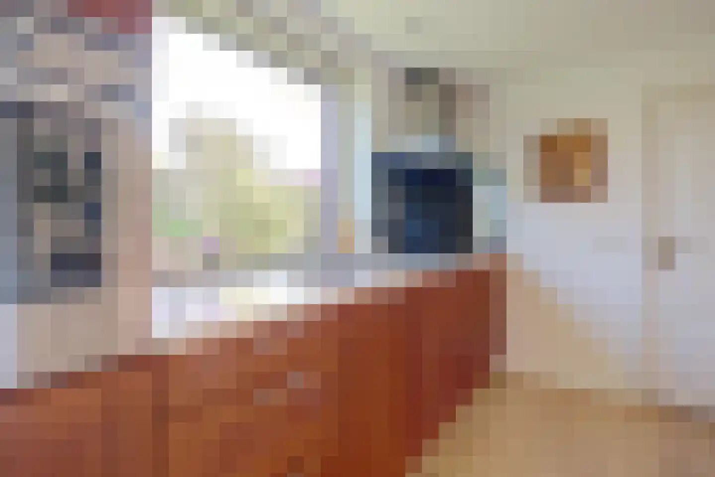 Dokter Dagevosstraat 14 Valkenswaard thumbnail 14