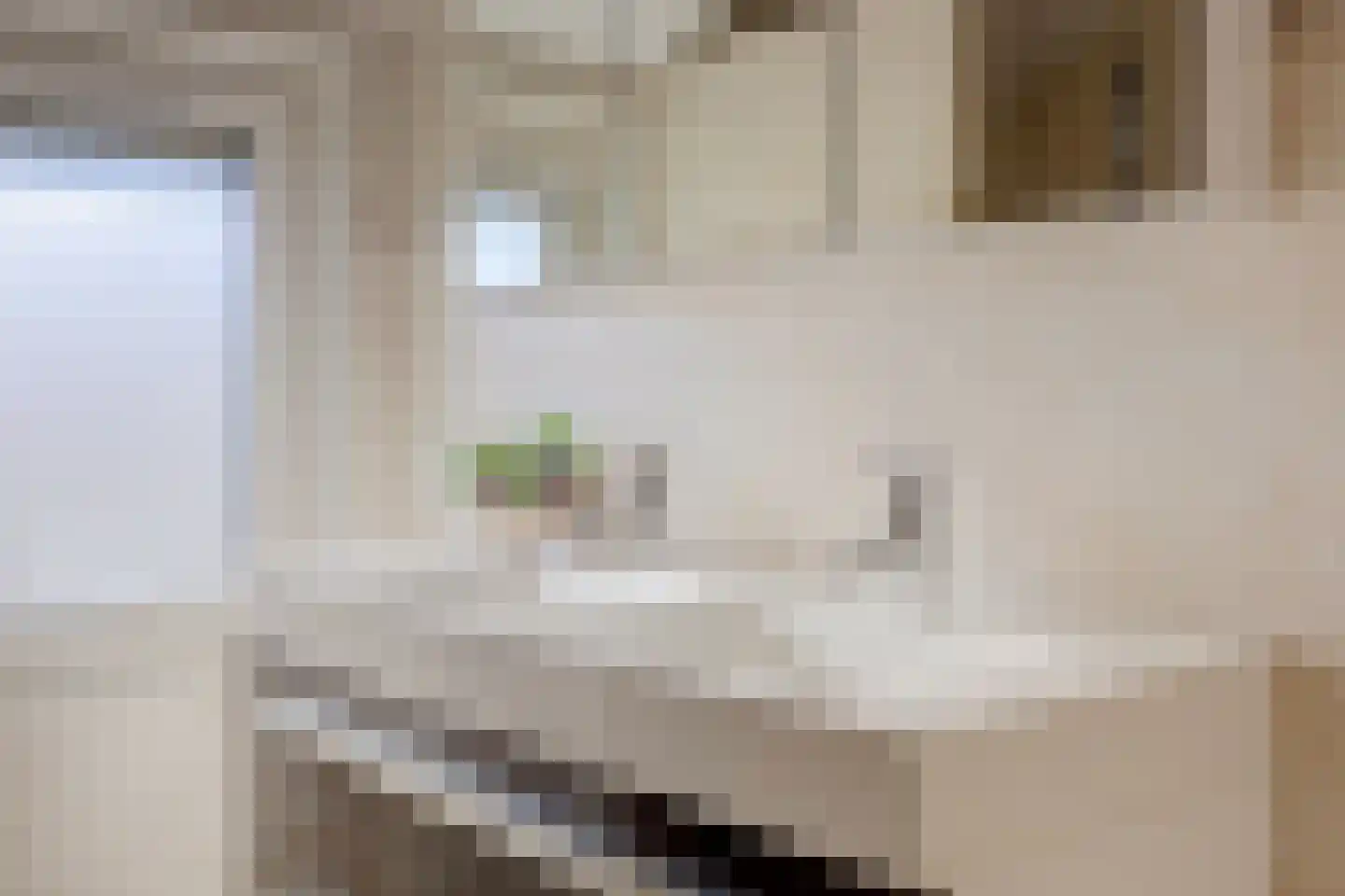Dokter Dagevosstraat 14 Valkenswaard thumbnail 25