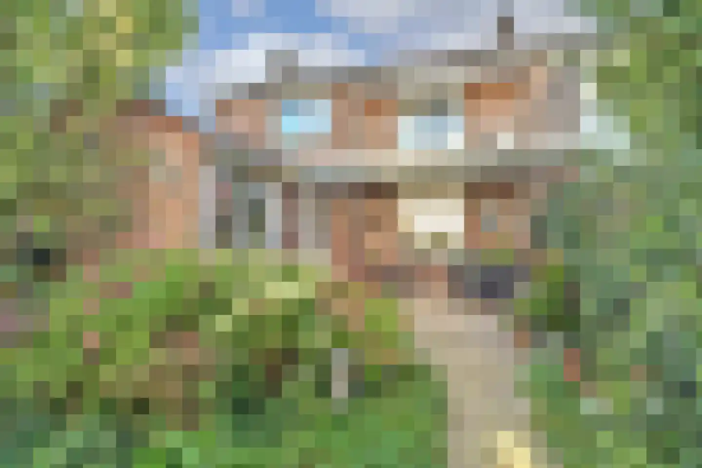 Dokter Dagevosstraat 14 Valkenswaard thumbnail 30