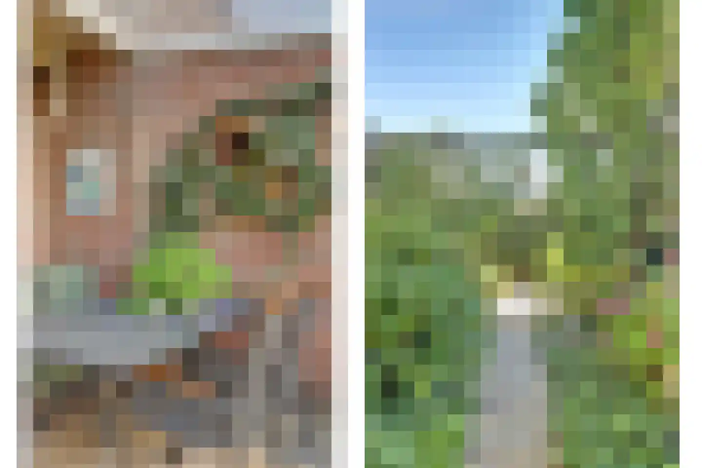 Dokter Dagevosstraat 14 Valkenswaard thumbnail 32