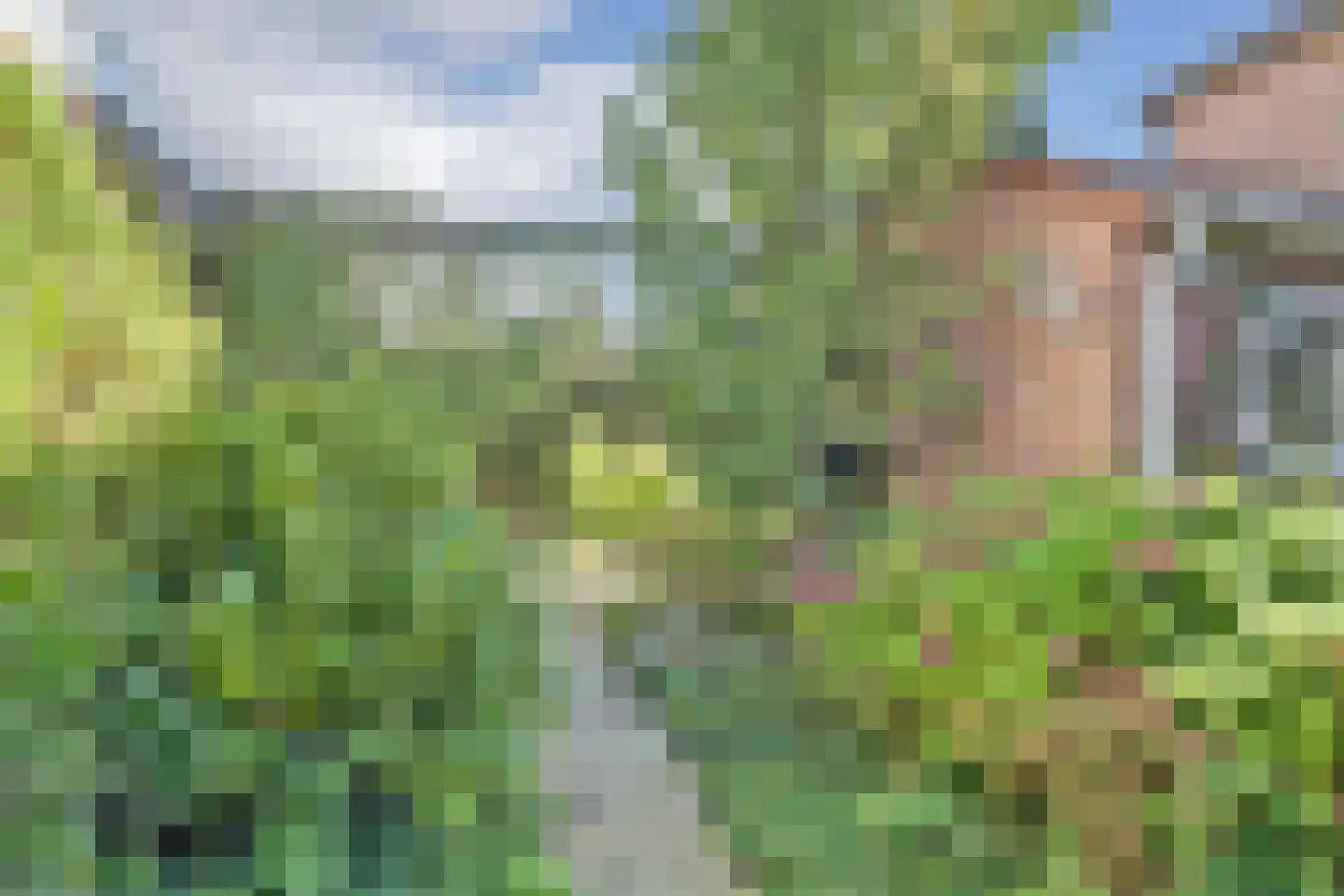Dokter Dagevosstraat 14 Valkenswaard thumbnail 33