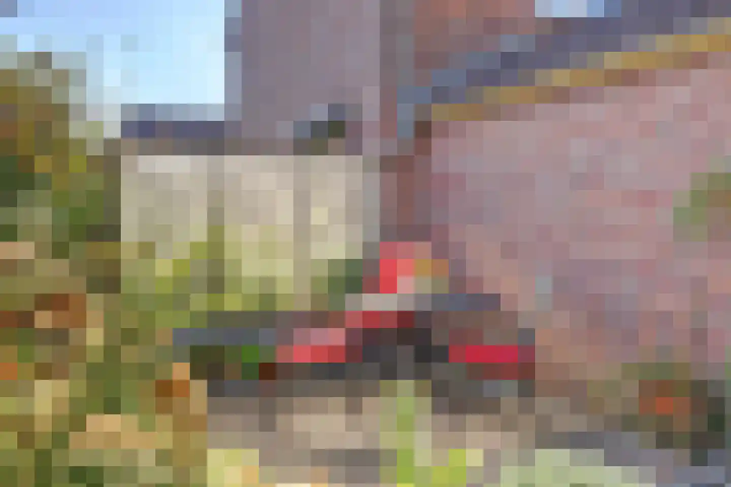 Dokter Dagevosstraat 14 Valkenswaard thumbnail 34