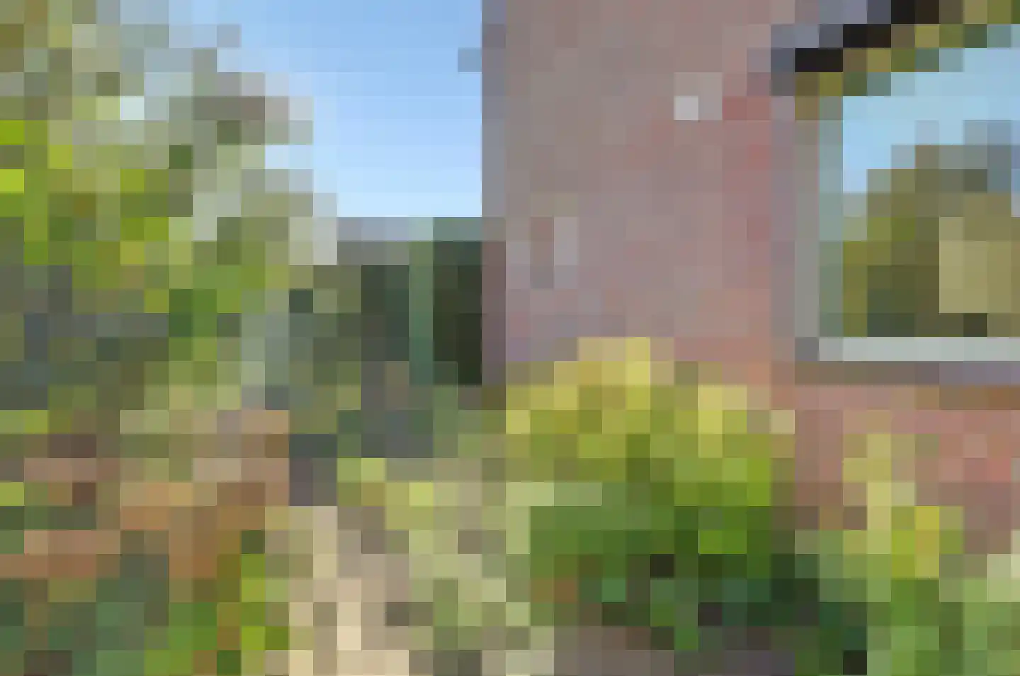 Dokter Dagevosstraat 14 Valkenswaard thumbnail 36