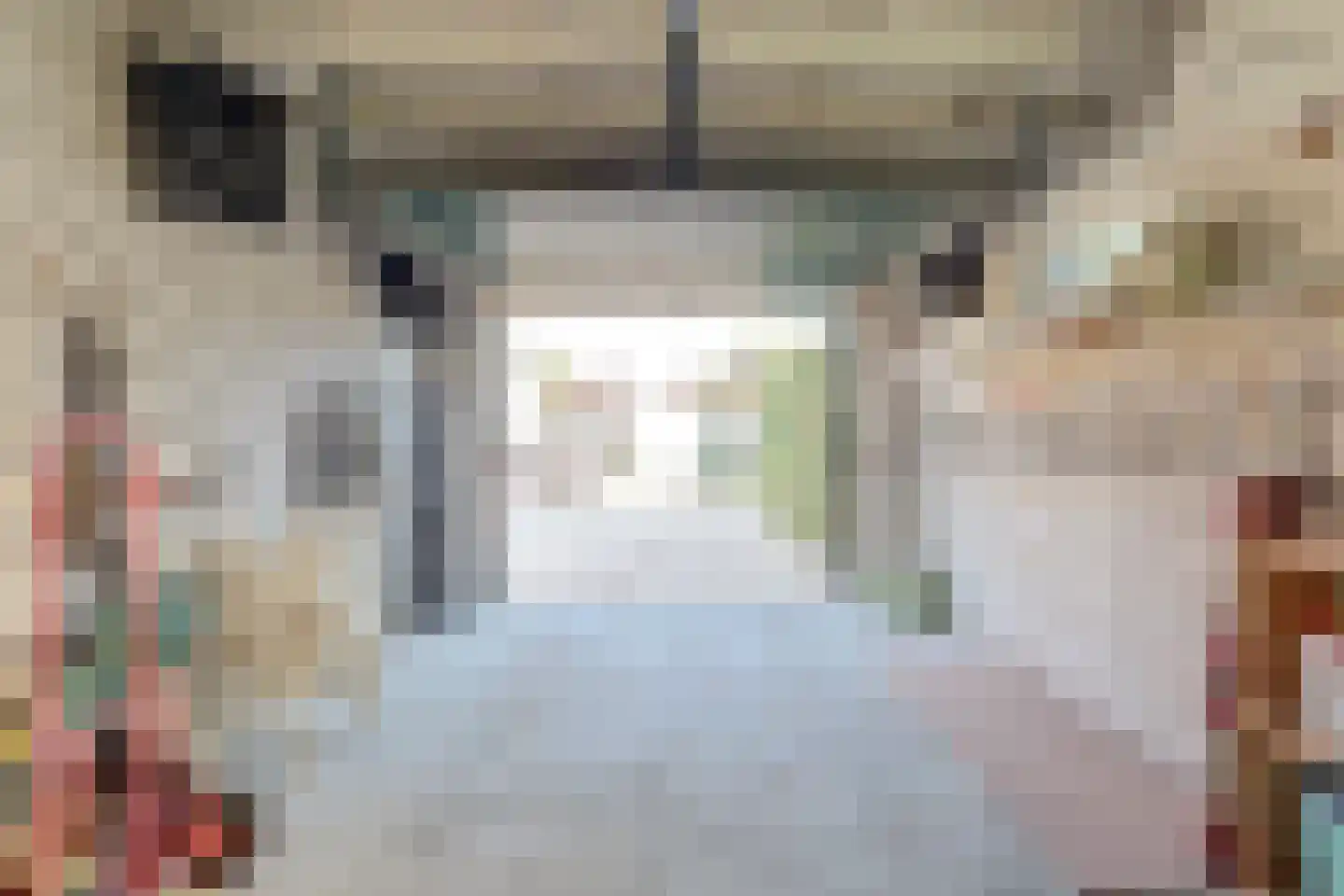 Dokter Dagevosstraat 14 Valkenswaard thumbnail 39