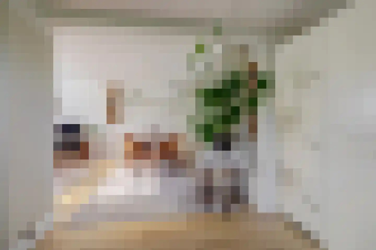 Dokter Dagevosstraat 14 Valkenswaard thumbnail 8