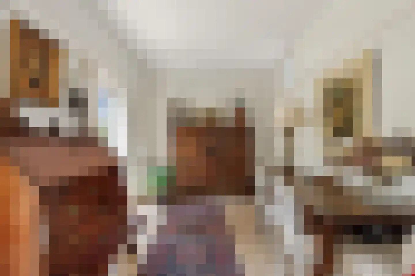 Dokter de Boerstraat 4 Nieuwe Niedorp thumbnail 11