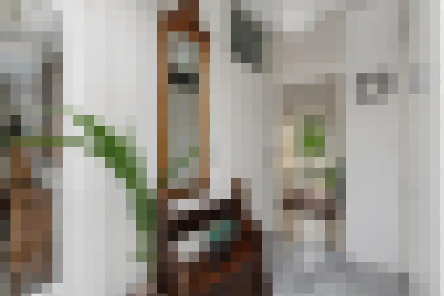 Dokter de Boerstraat 4 Nieuwe Niedorp thumbnail 16