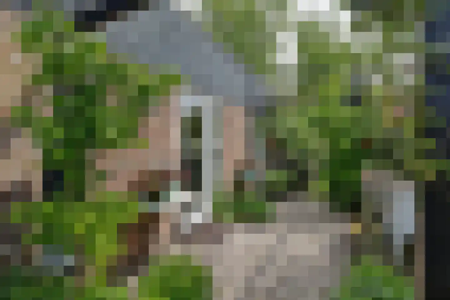 Dokter de Boerstraat 4 Nieuwe Niedorp thumbnail 20