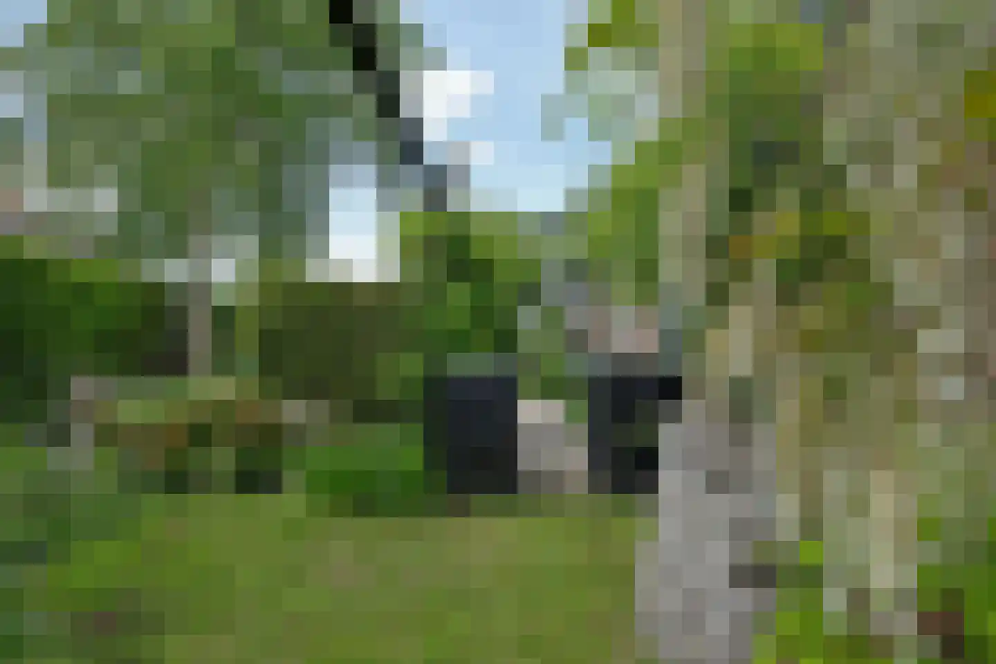 Dokter de Boerstraat 4 Nieuwe Niedorp thumbnail 21