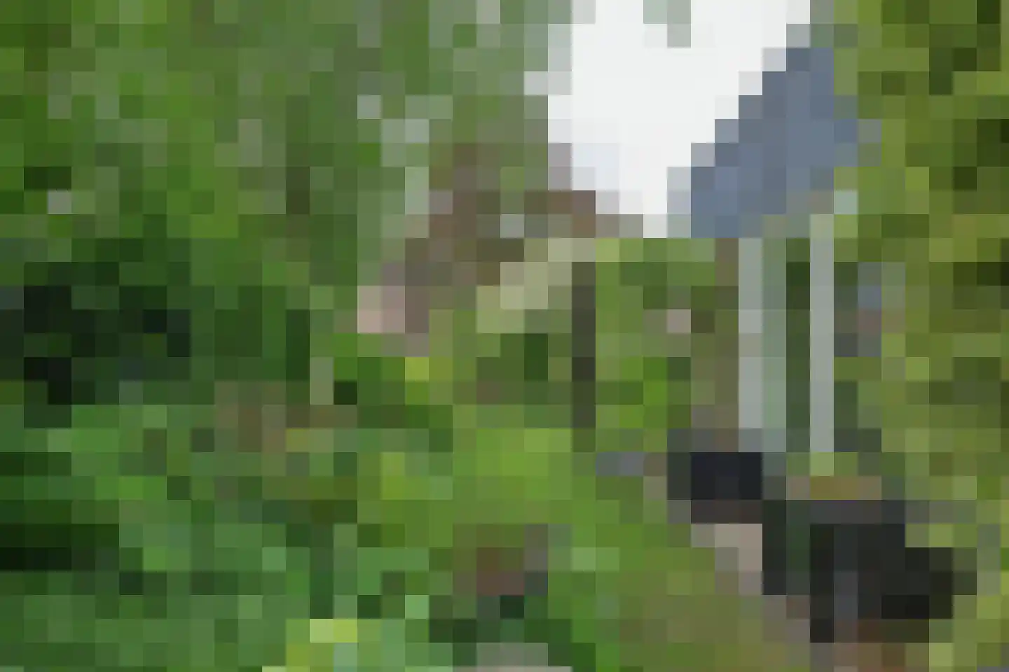 Dokter de Boerstraat 4 Nieuwe Niedorp thumbnail 22