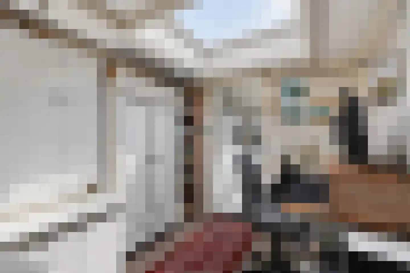 Dokter de Boerstraat 4 Nieuwe Niedorp thumbnail 26