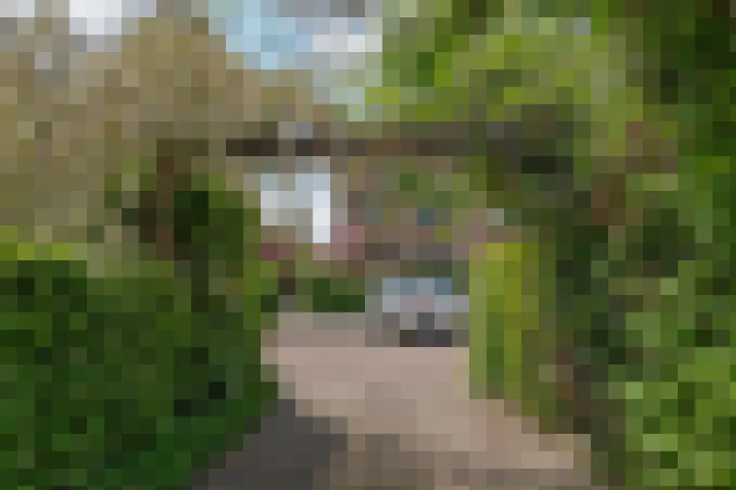 Dokter de Boerstraat 4 Nieuwe Niedorp thumbnail 30