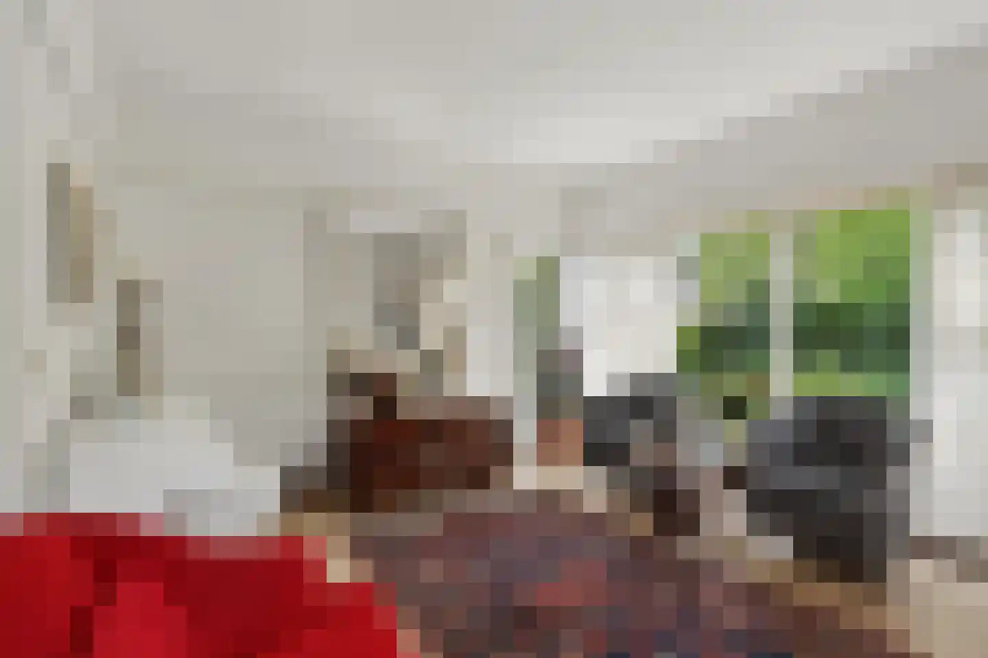 Dokter de Boerstraat 4 Nieuwe Niedorp thumbnail 6