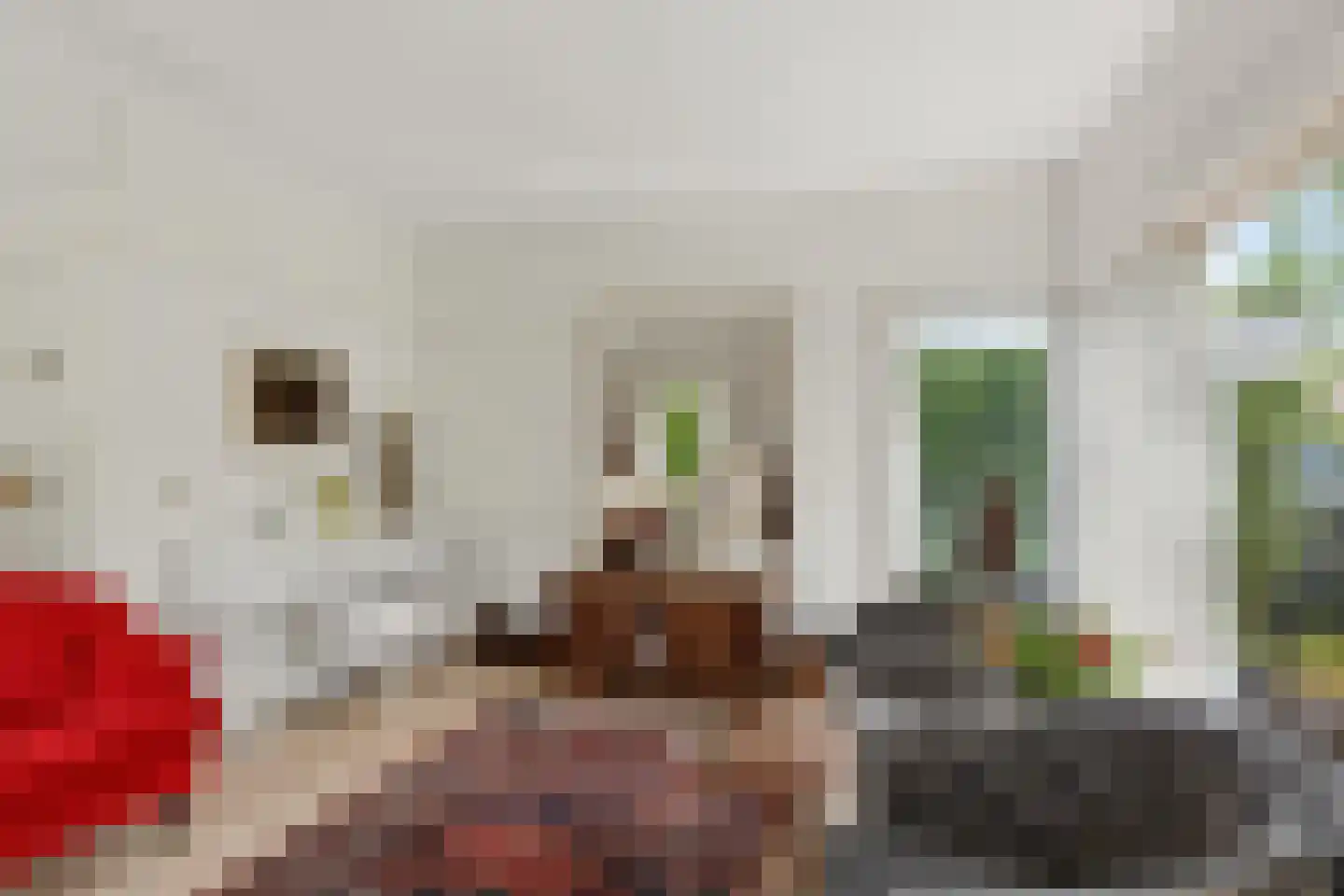 Dokter de Boerstraat 4 Nieuwe Niedorp thumbnail 9