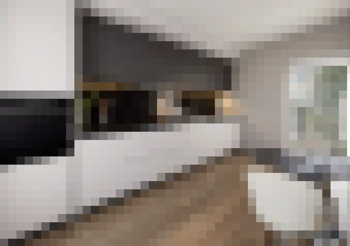 Dokter de Boerstraat 6 Nieuwe Niedorp thumbnail 16