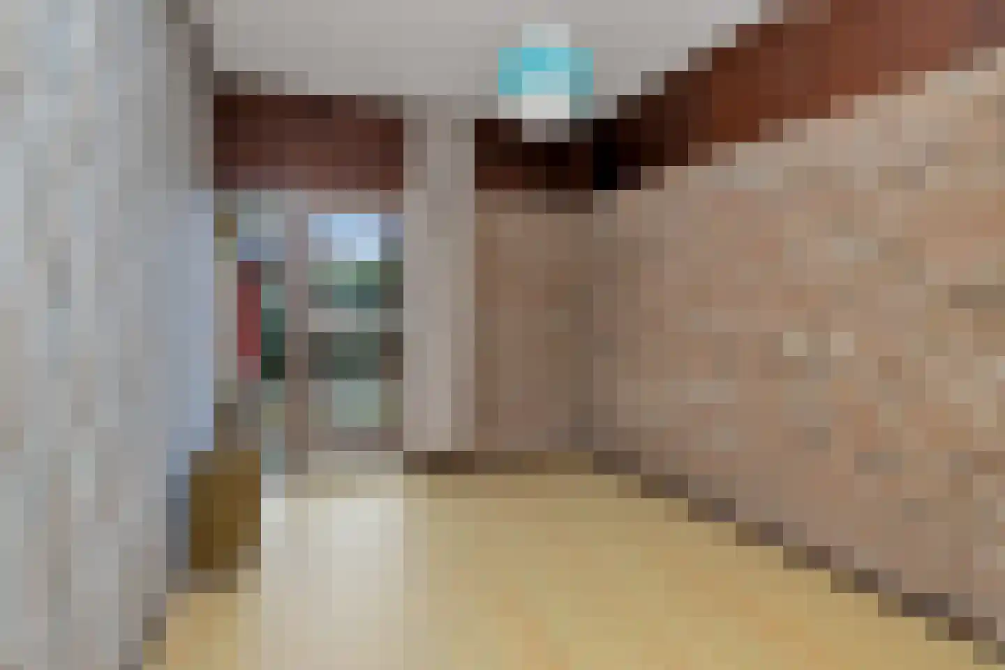 Dokter de Boerstraat 6 Nieuwe Niedorp thumbnail 18