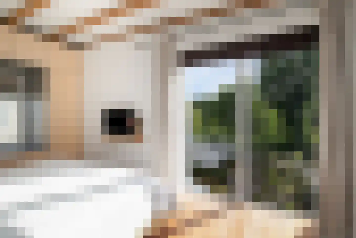 Dokter de Boerstraat 9 Oostzaan thumbnail 20