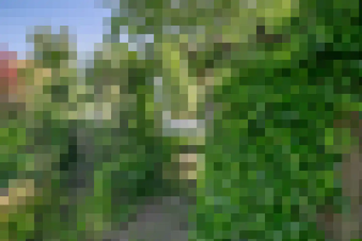 Dokter de Boerstraat 9 Oostzaan thumbnail 31