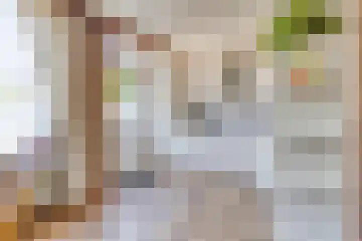 Dokter de Bruynstraat 21 Oldenzaal thumbnail 6