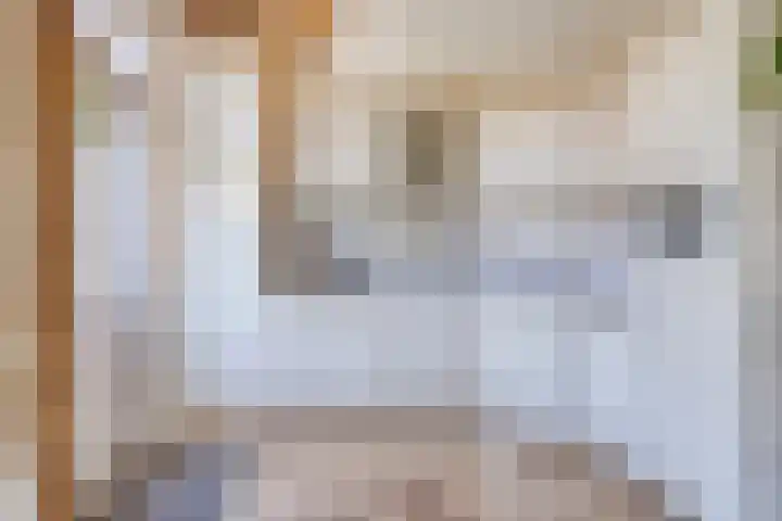 Dokter de Bruynstraat 21 Oldenzaal thumbnail 7