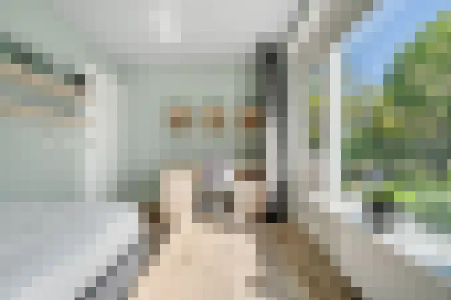 Dokter de Bruynstraat 47 Oldenzaal thumbnail 23