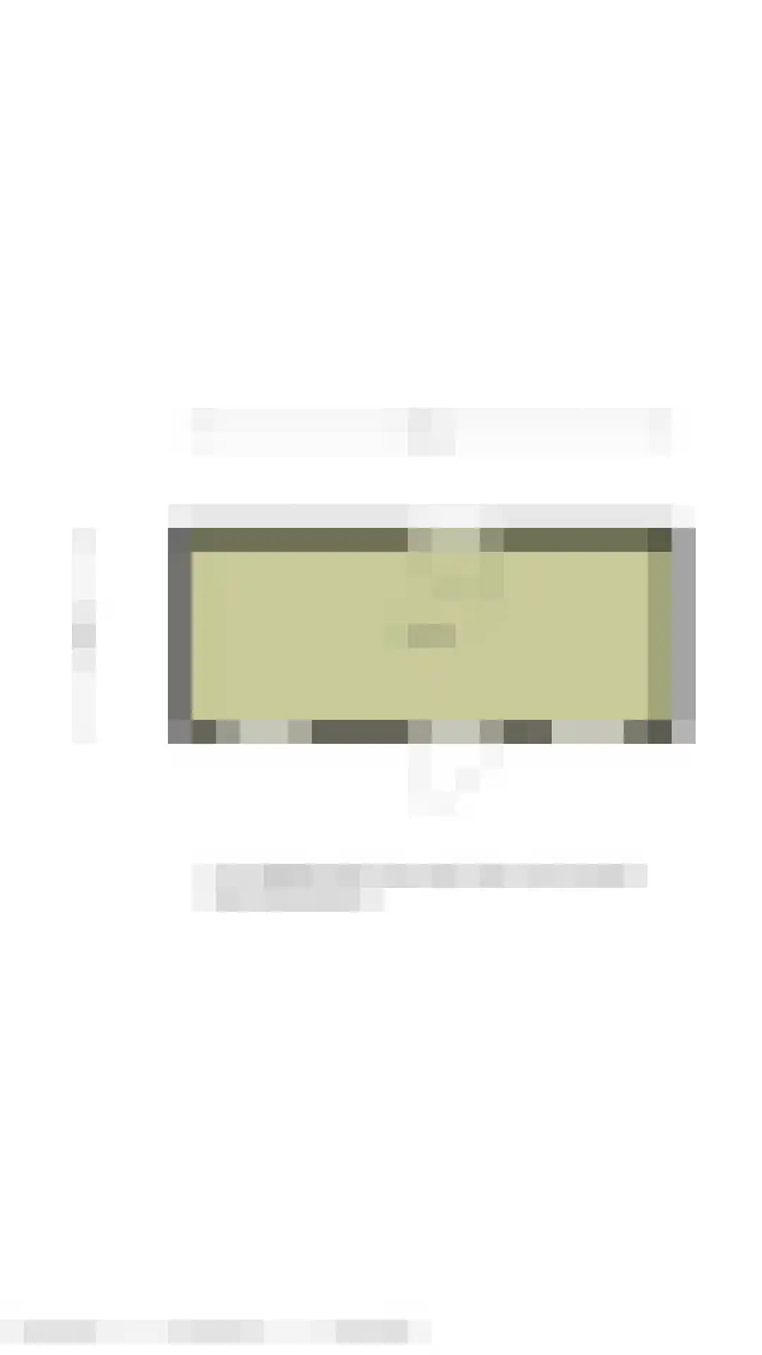 Dokter de Bruynstraat 47 Oldenzaal thumbnail 49