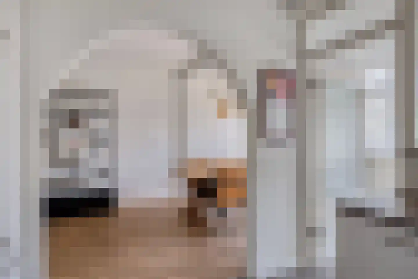Dokter de Bruynstraat 47 Oldenzaal thumbnail 7