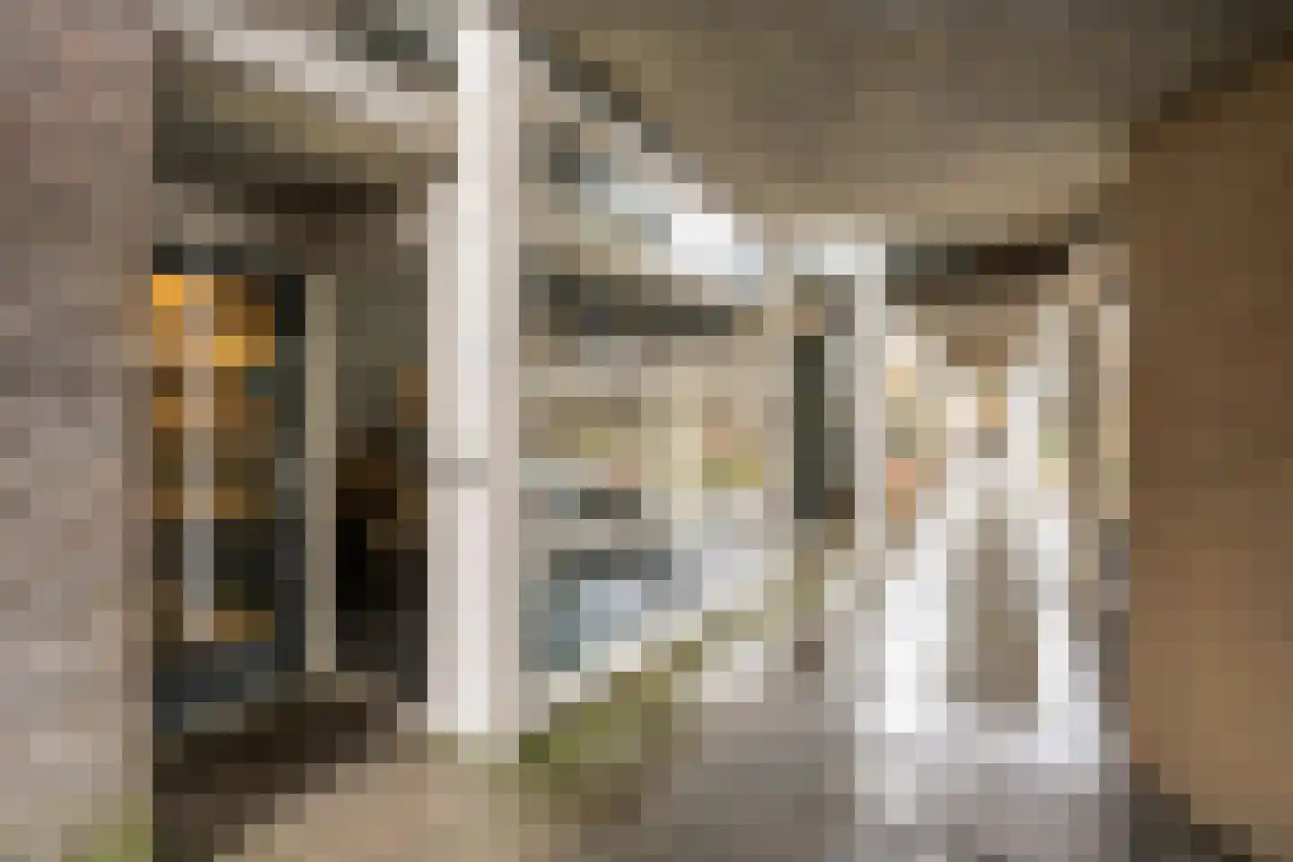 Dokter De Liefdestraat 139 Haarlem thumbnail 41