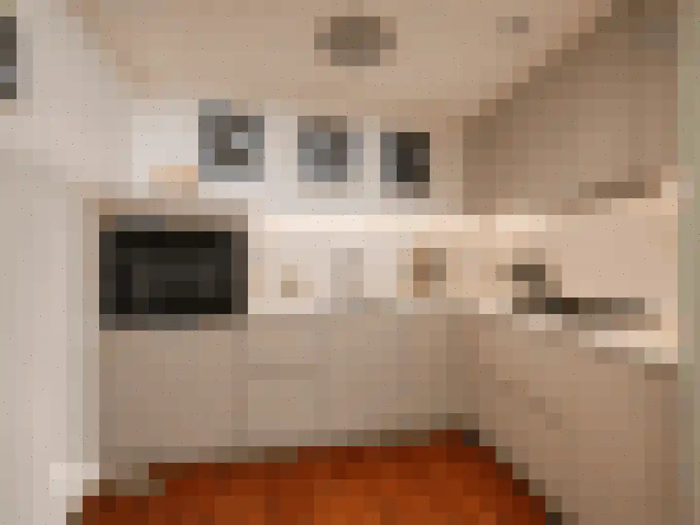 Dokter De Liefdestraat 21 Haarlem thumbnail 13