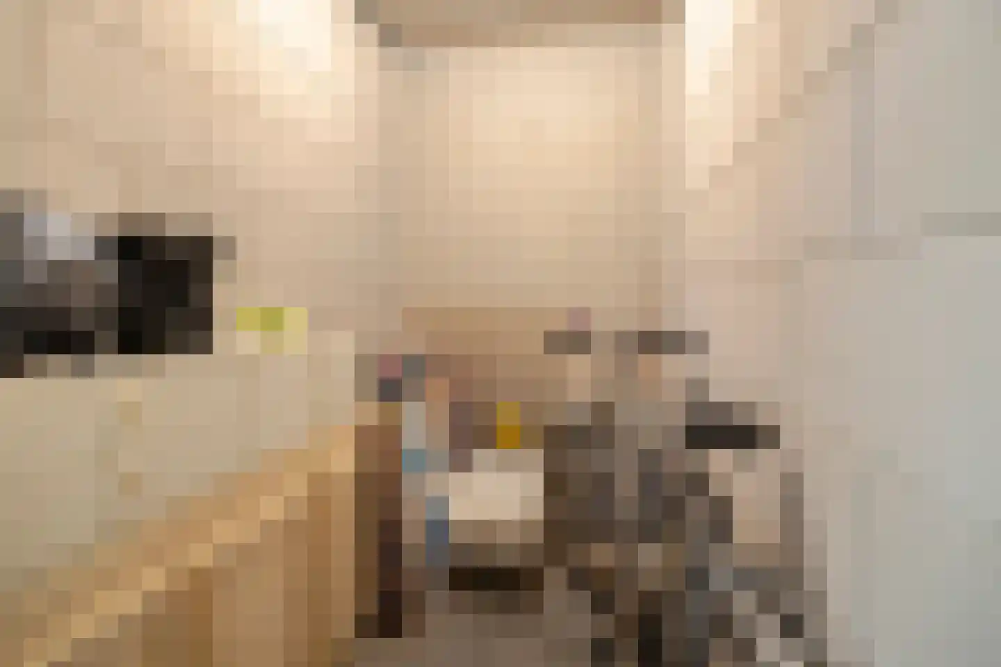 Dokter De Liefdestraat 21 Haarlem thumbnail 20