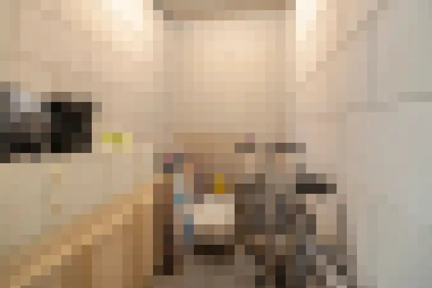 Dokter De Liefdestraat 21 Haarlem thumbnail 20