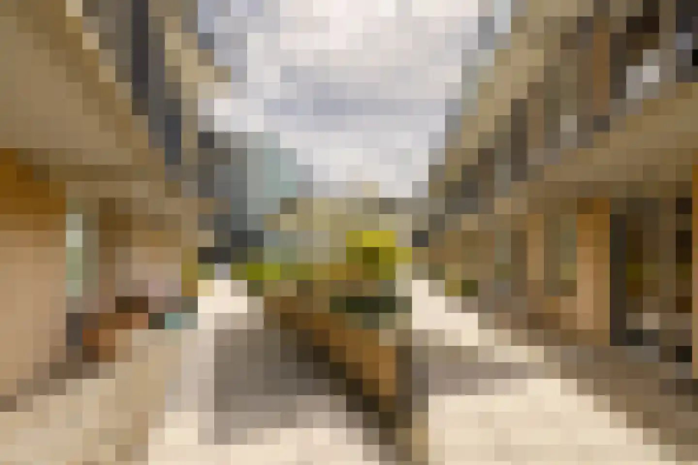 Dokter De Liefdestraat 21 Haarlem thumbnail 22
