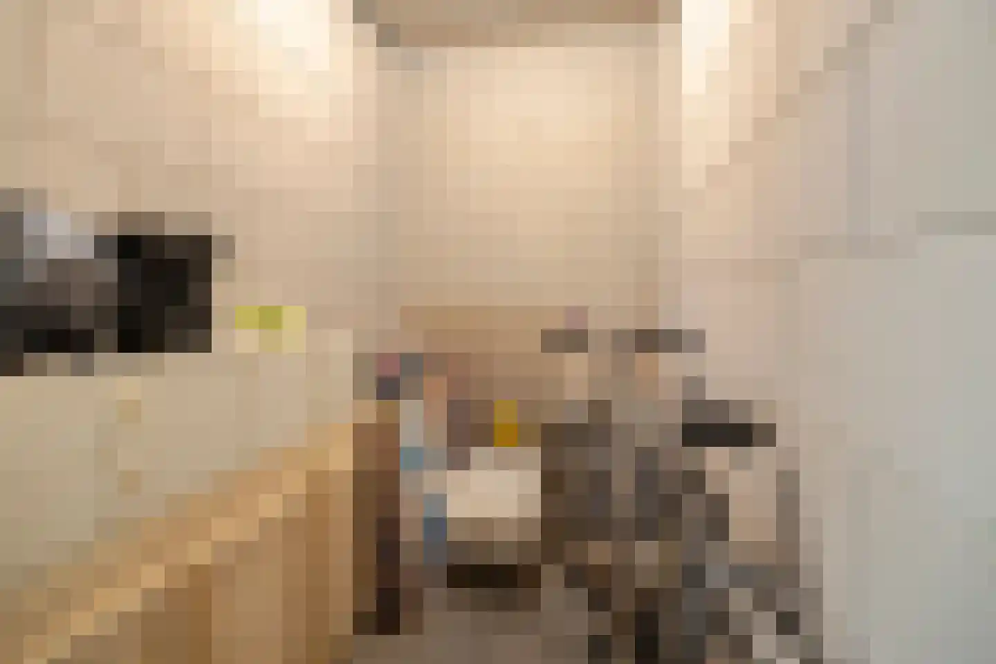 Dokter De Liefdestraat 21 Haarlem thumbnail 25