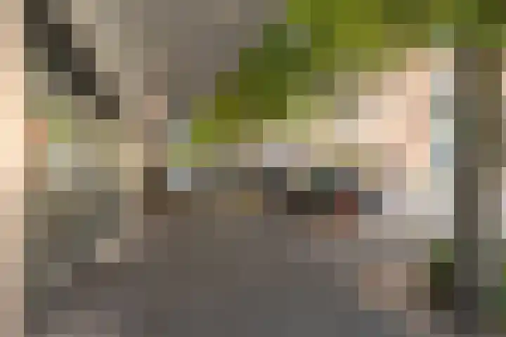 Dokter De Liefdestraat 34 Haarlem thumbnail 18