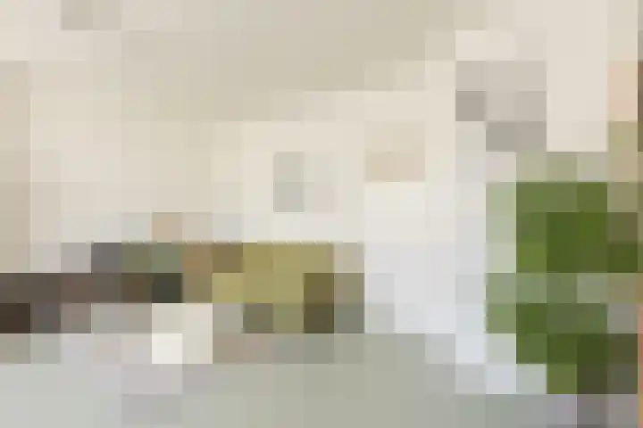 Dokter De Liefdestraat 34 Haarlem thumbnail 8