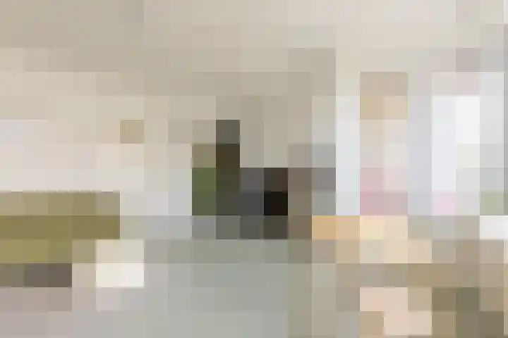 Dokter De Liefdestraat 34 Haarlem thumbnail 9