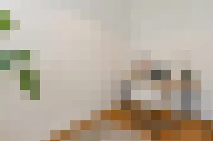 Dokter De Liefdestraat 65 Haarlem thumbnail 16