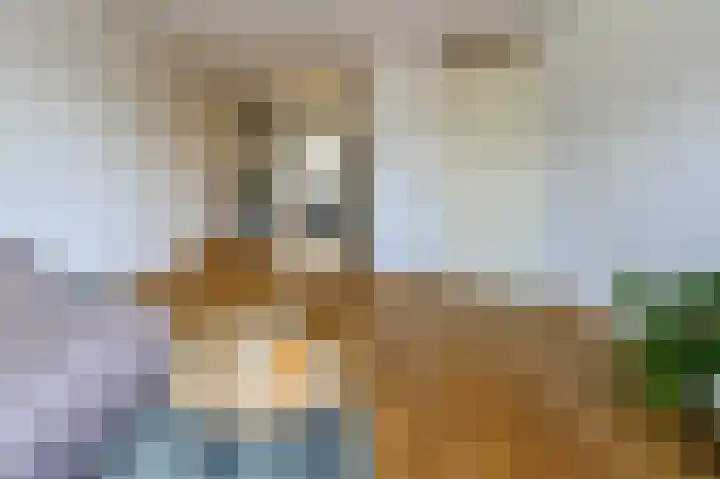 Dokter De Liefdestraat 65 Haarlem thumbnail 5
