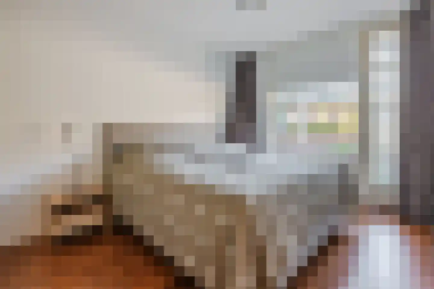 Dokter De Liefdestraat 9 Haarlem thumbnail 15