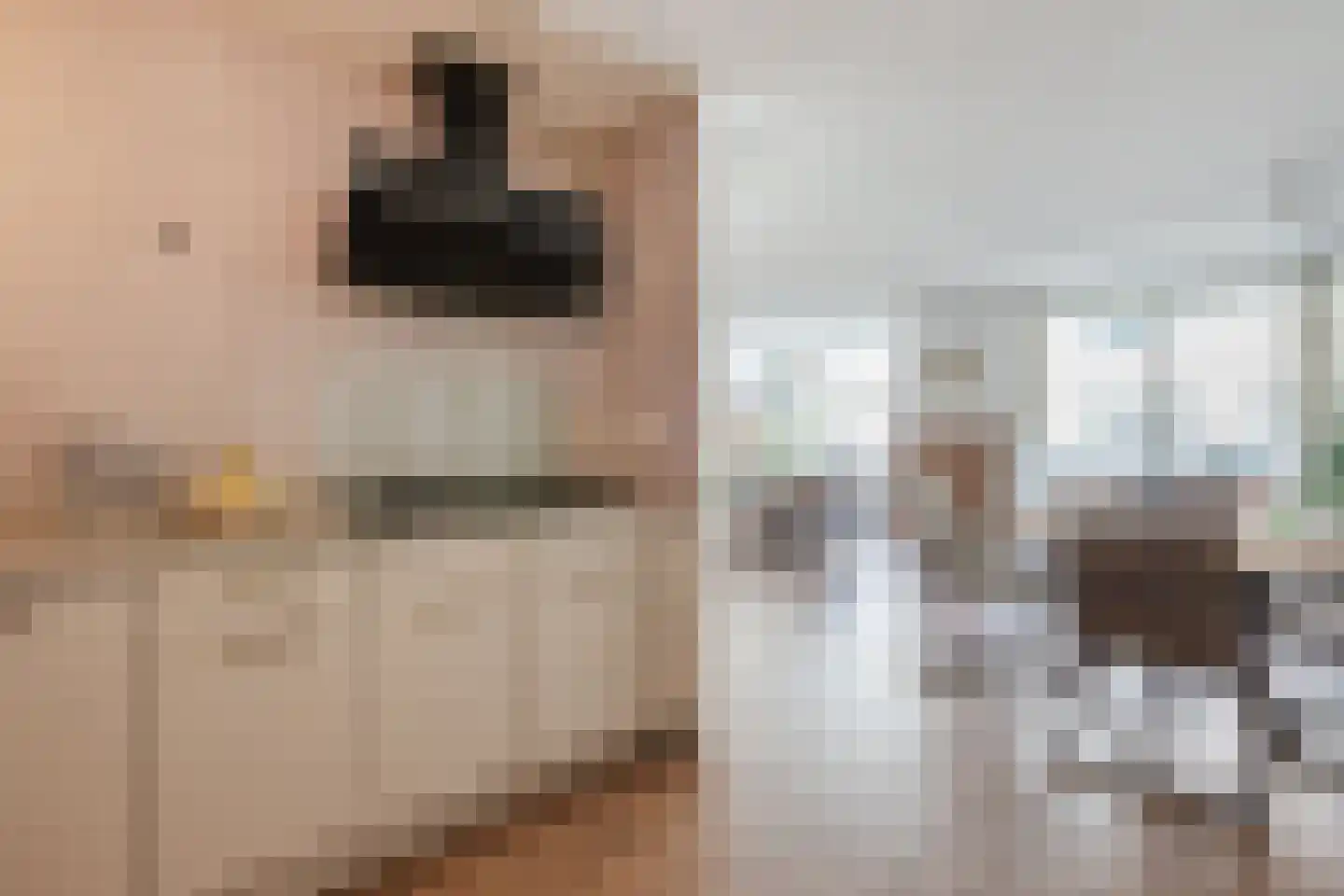Dokter De Liefdestraat 9 Haarlem thumbnail 26