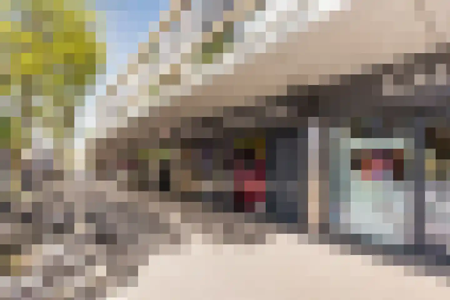 Dokter De Liefdestraat 9 Haarlem thumbnail 38