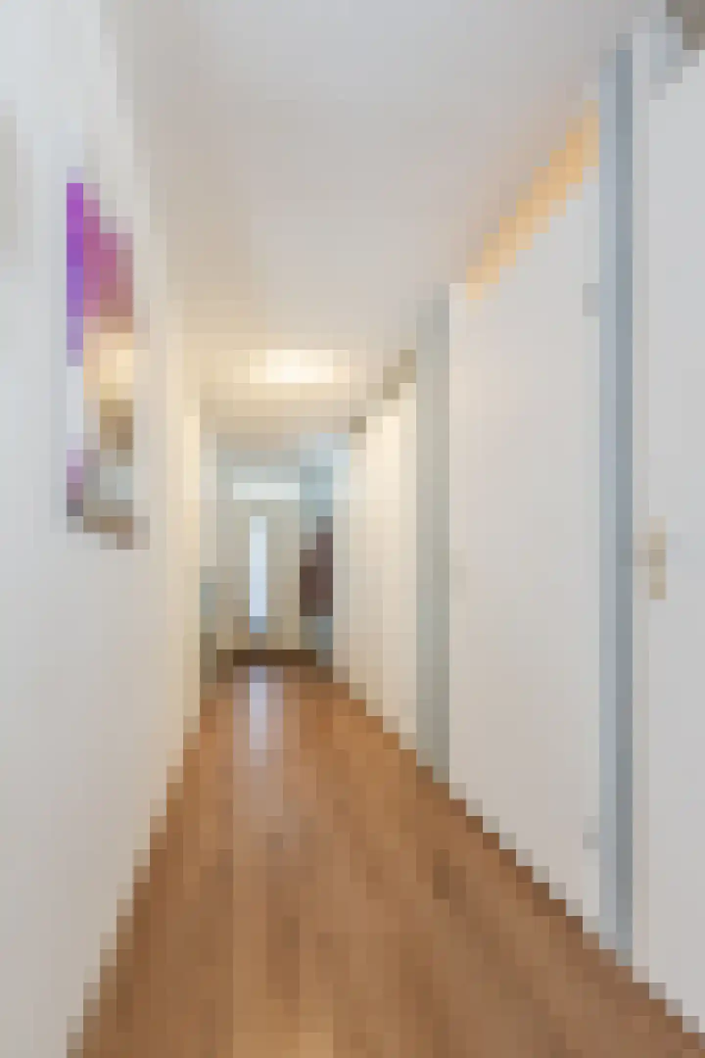 Dokter De Liefdestraat 9 Haarlem thumbnail 7