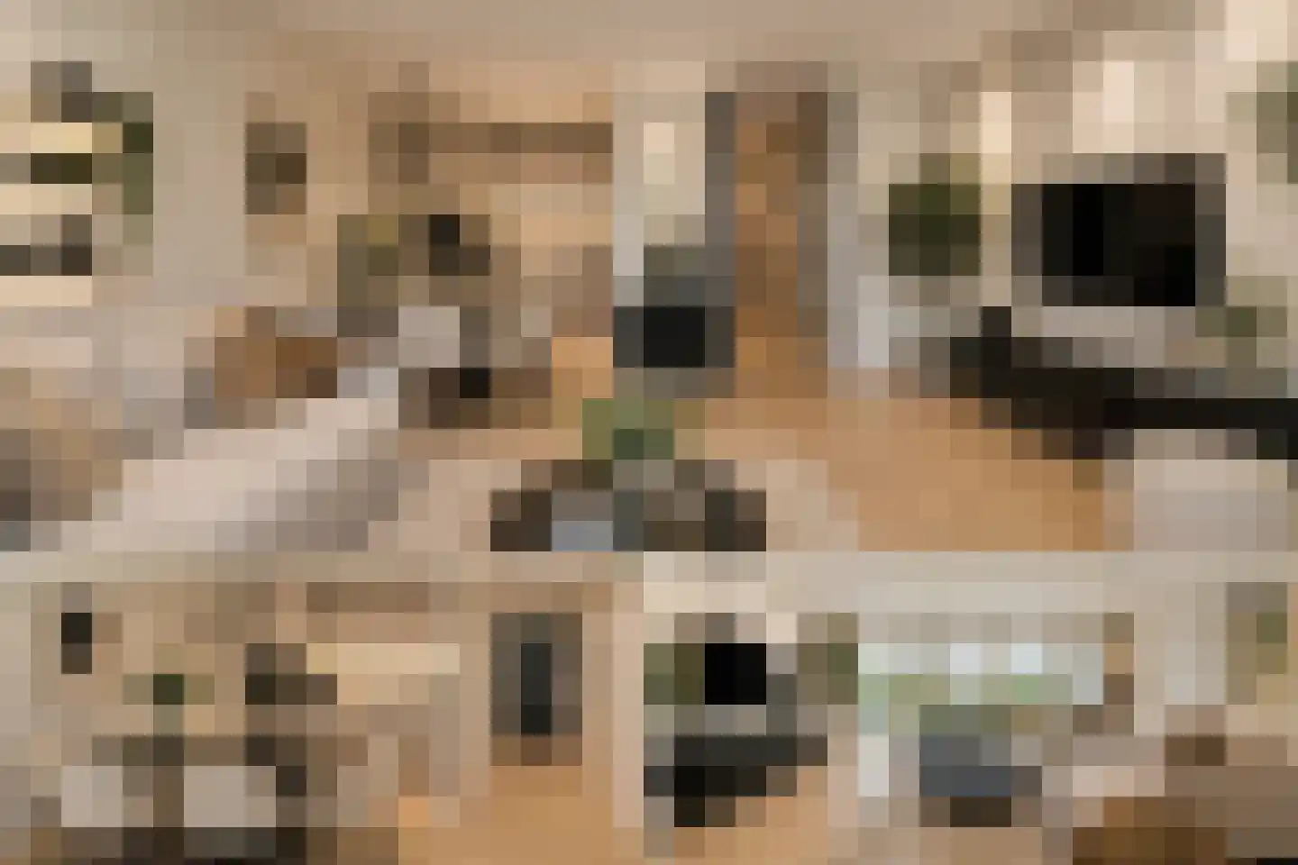 Dokter De Liefdestraat 93 Haarlem thumbnail 5