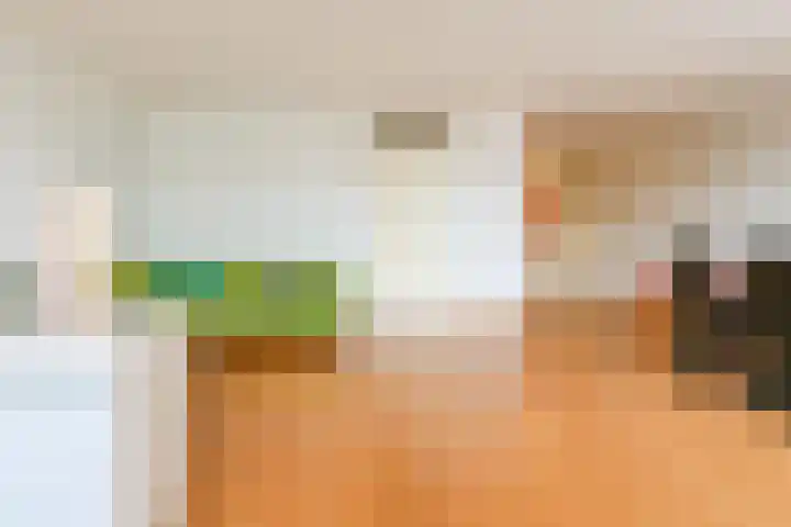 Dokter De Liefdestraat 95 Haarlem thumbnail 4