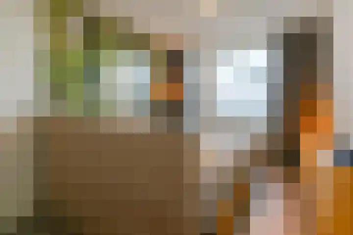 Dokter De Liefdestraat 95 Haarlem thumbnail 7